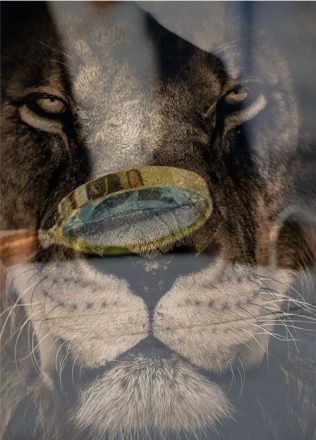 Advogado especialista em Receita Federal